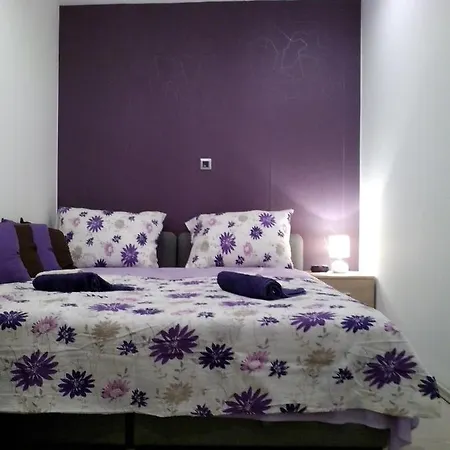 Purple & Apple Green Apartament