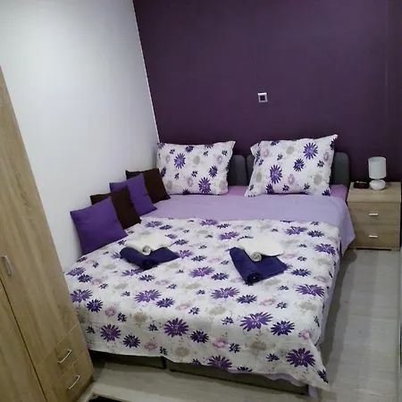 Purple & Apple Green Apartment *